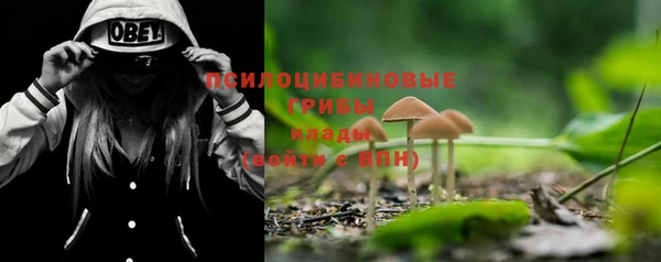 трава Новокубанск