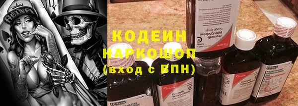 шишки Алексин
