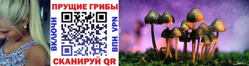 Галлюциногенные грибы мухоморы Ревда
