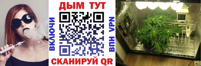 Каннабис Amnesia  что такое наркотик  Ревда 